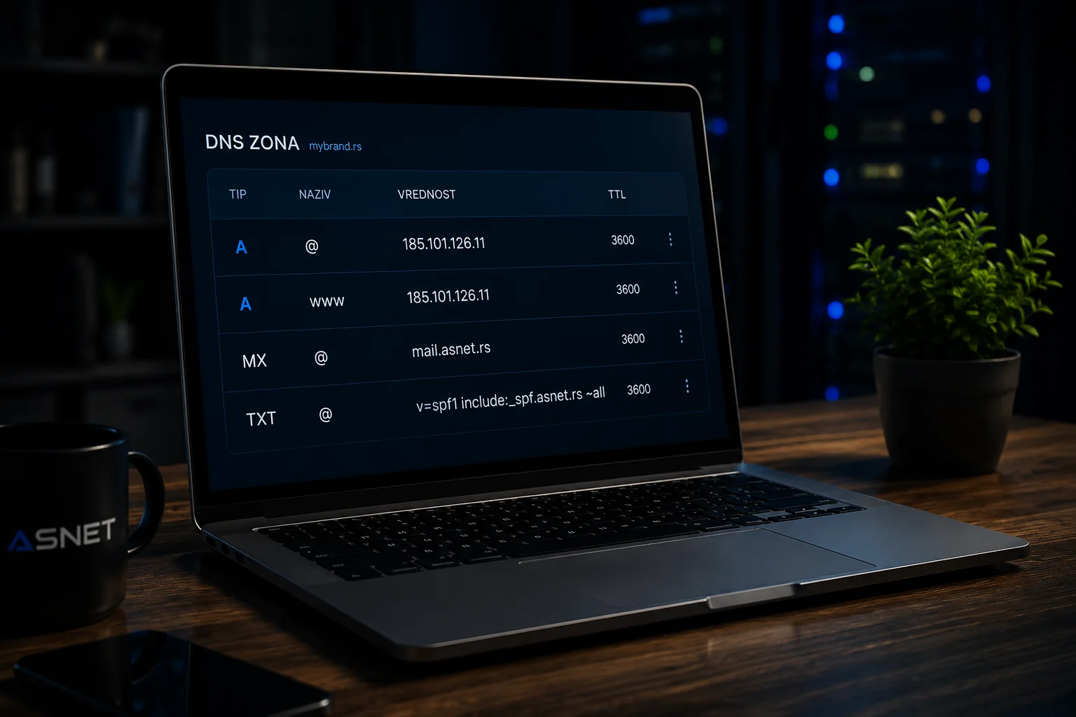 DNS zona za mybrand.rs prikazana u ASNET korisničkom panelu